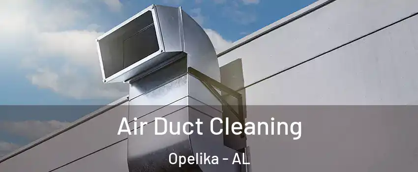  Air Duct Cleaning Opelika - AL