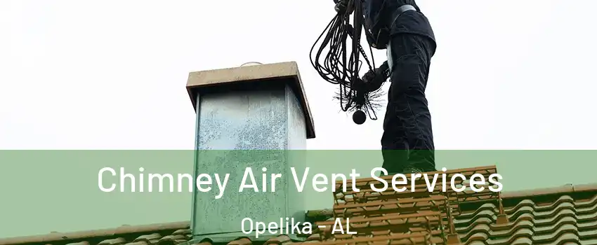  Chimney Air Vent Services Opelika - AL