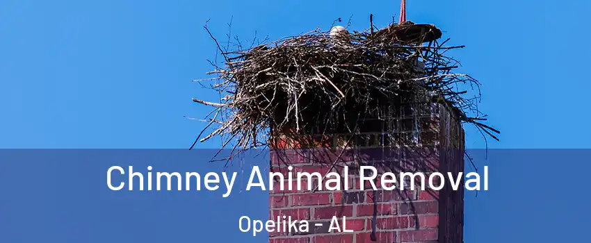  Chimney Animal Removal Opelika - AL