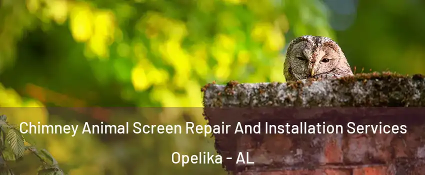  Chimney Animal Screen Repair And Installation Services Opelika - AL