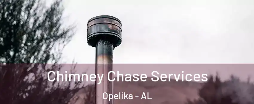  Chimney Chase Services Opelika - AL