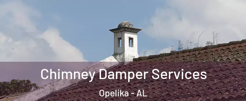  Chimney Damper Services Opelika - AL