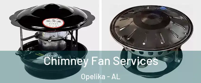  Chimney Fan Services Opelika - AL
