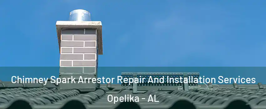  Chimney Spark Arrestor Repair And Installation Services Opelika - AL