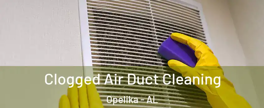  Clogged Air Duct Cleaning Opelika - AL