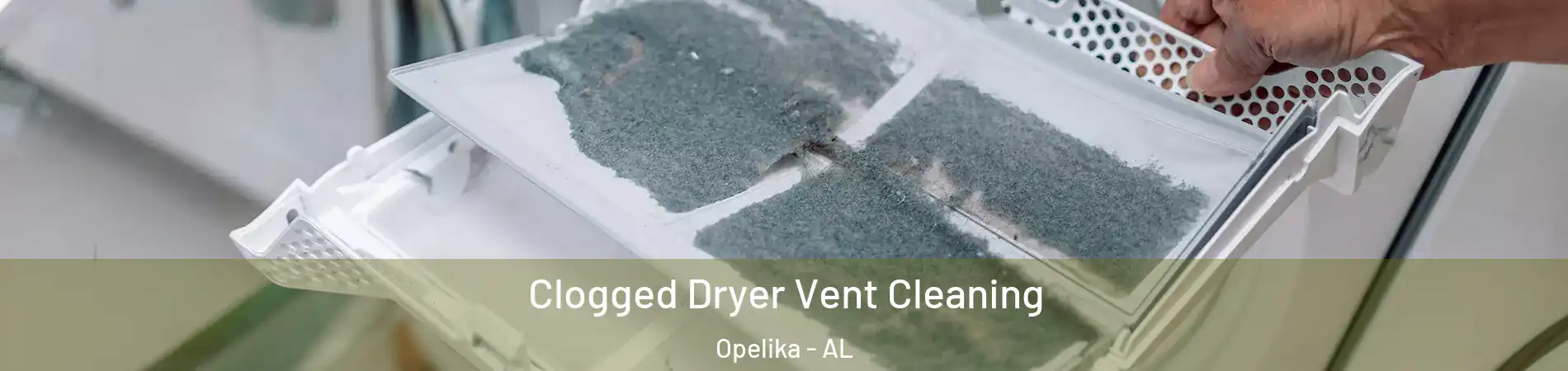  Clogged Dryer Vent Cleaning Opelika - AL