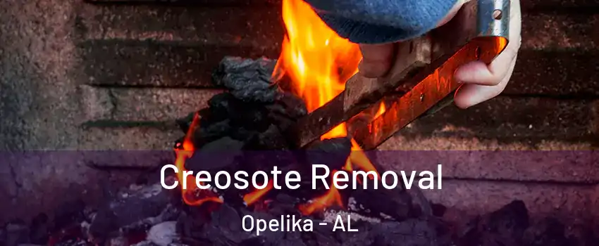  Creosote Removal Opelika - AL