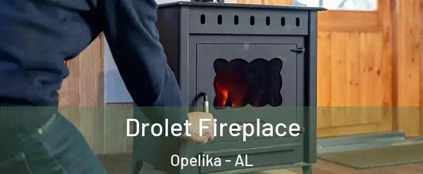  Drolet Fireplace Opelika - AL