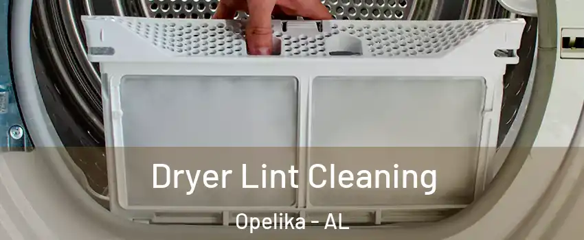  Dryer Lint Cleaning Opelika - AL