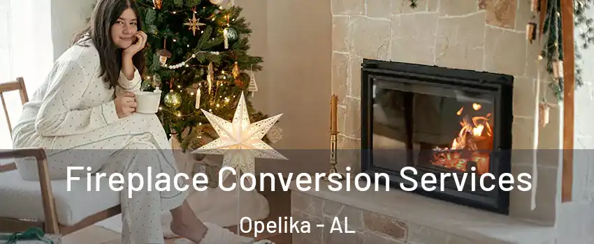  Fireplace Conversion Services Opelika - AL