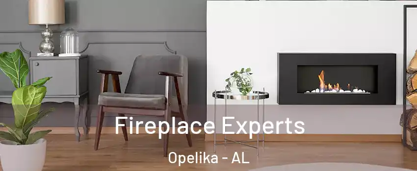  Fireplace Experts Opelika - AL