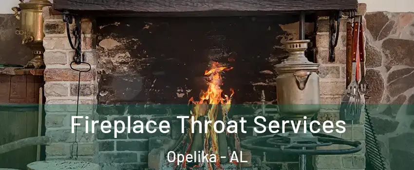  Fireplace Throat Services Opelika - AL