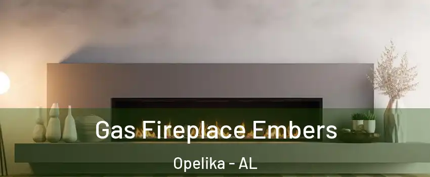  Gas Fireplace Embers Opelika - AL