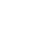 Professional Chimney Flue Installation in Opelika, Alabama