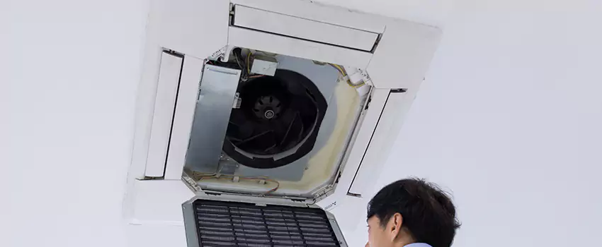 Benefits of Professional Air Duct Cleaning in Opelika, Alabama