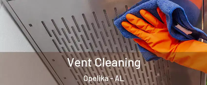  Vent Cleaning Opelika - AL