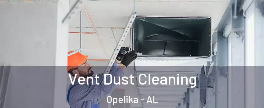  Vent Dust Cleaning Opelika - AL