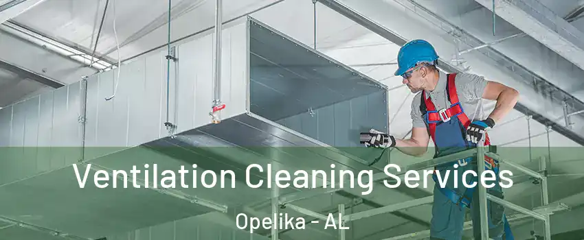  Ventilation Cleaning Services Opelika - AL