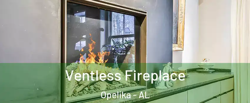  Ventless Fireplace Opelika - AL